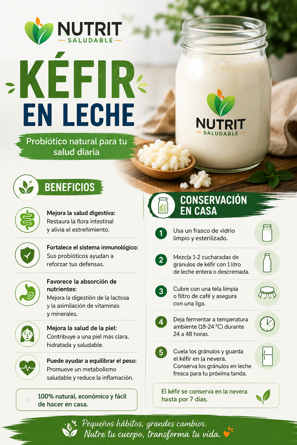 Guía Nutrit Saludable: kéfir en leche, beneficios y conservación